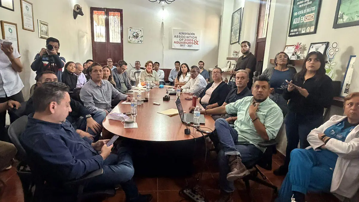 SESIÓN ZOO