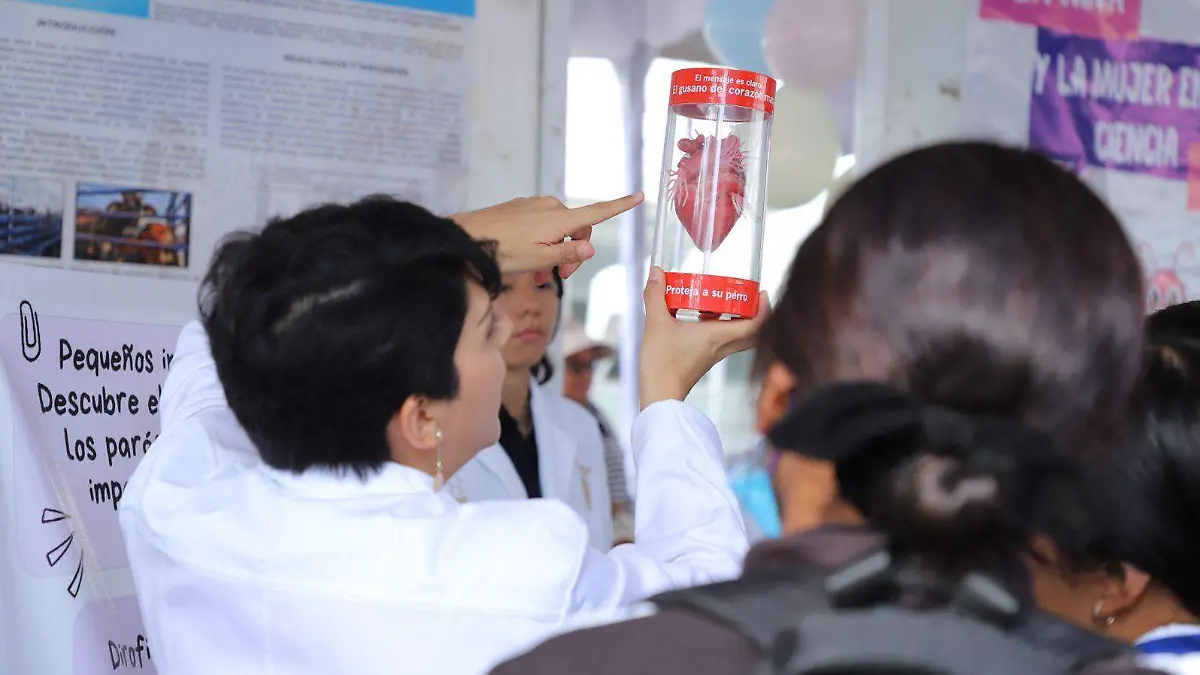 Guanajuato – Niñas en la ciencia. Descubre con mujeres científicas un mundo nuevo