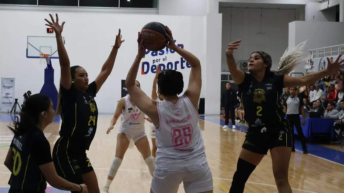 Cortesia TORITAS CELAYA (3)