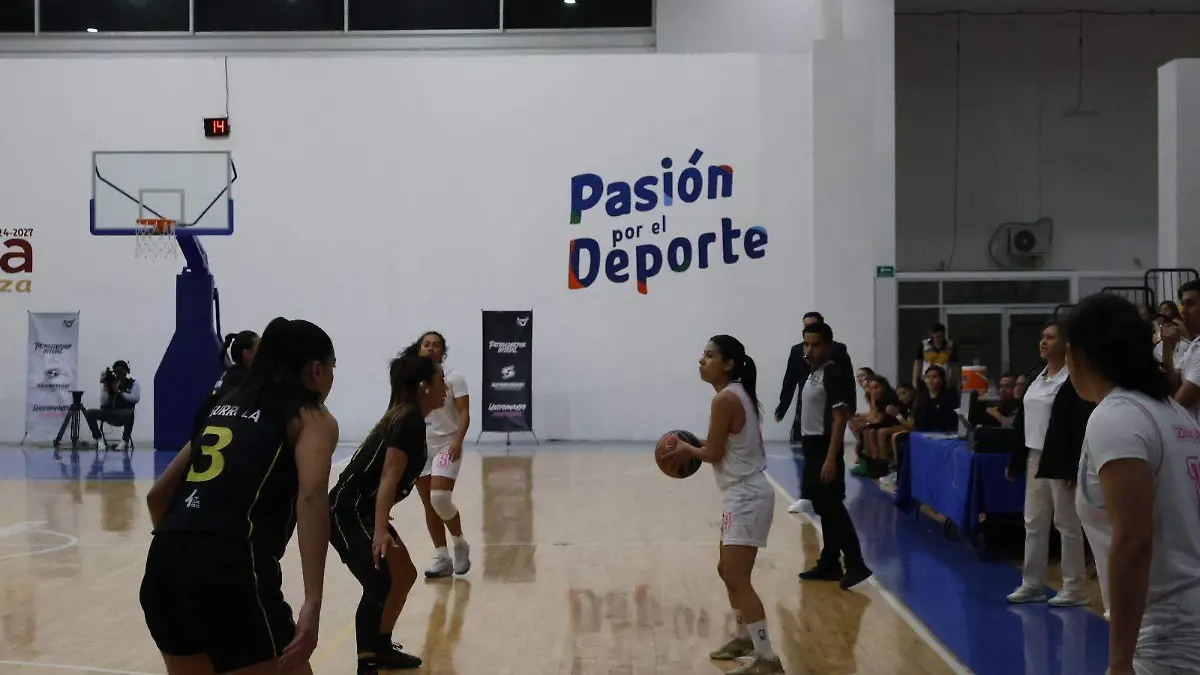 WhatsApp Image 2026-02-07 at 9.34.22 PM