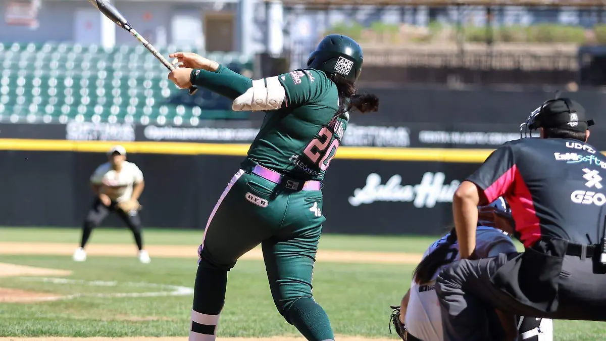 WhatsApp Image 2026-02-08 at 4.51.59 PM (2)