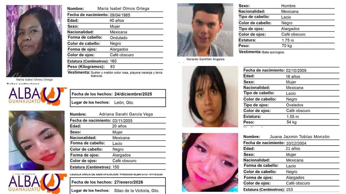 WhatsApp Image 2026-02-09 at 10.41.13 AM