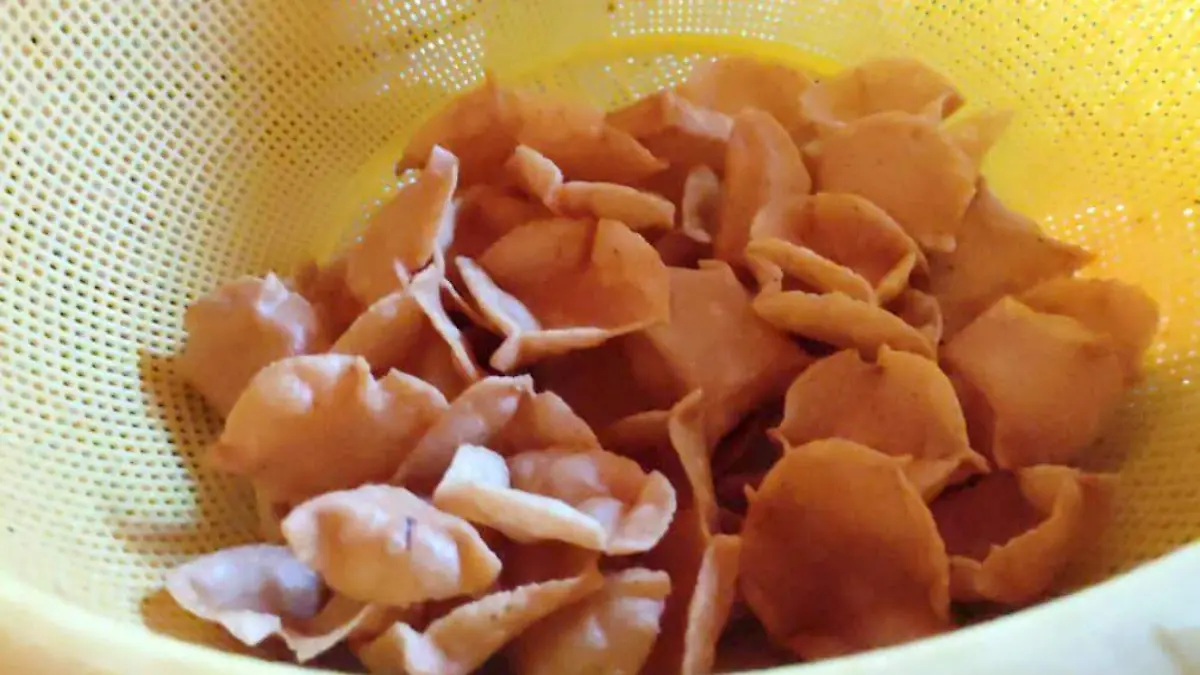 YOLANDA, SEÑORA DE LAS CHALUPAS8