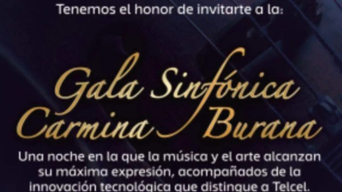 WhatsApp Image 2026-02-04 at 11.07.25 AM