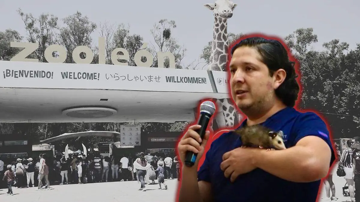 WhatsApp Image 2026-02-12 at 1.24.49 PM