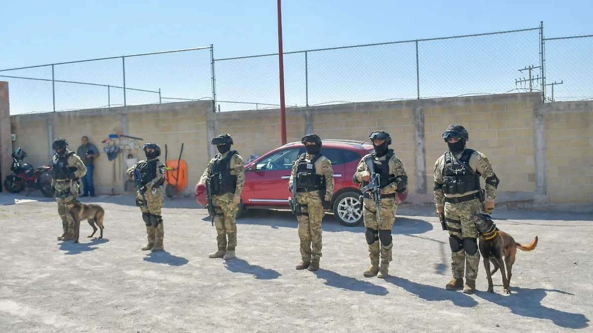 WhatsApp Image 2026-02-14 at 4.54.51 PM (1)