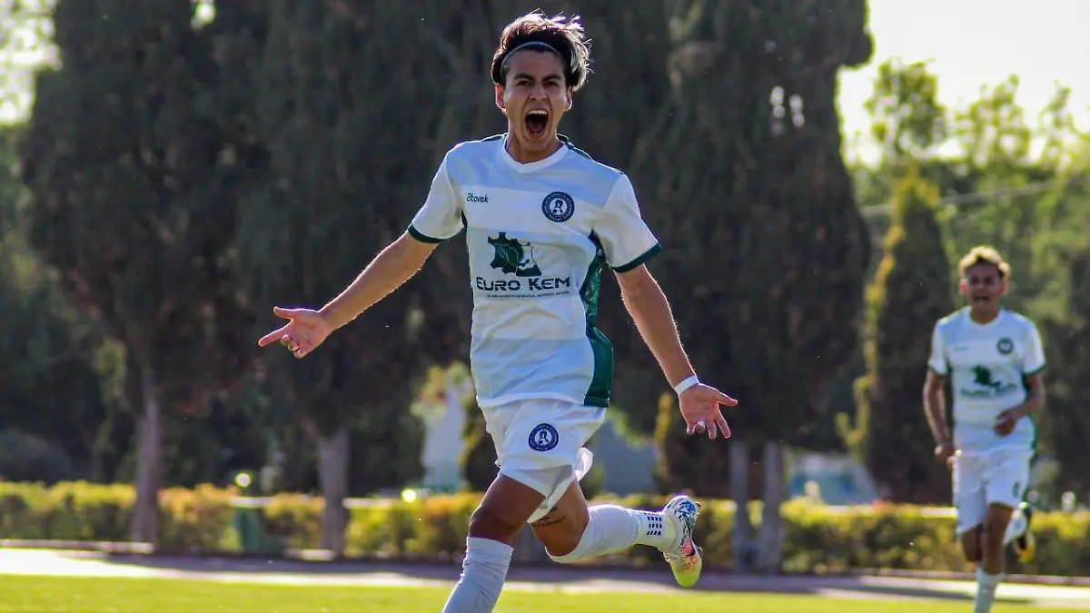 CACHORROS DE LEON (1)