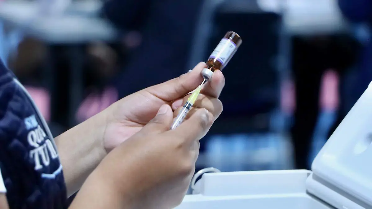 WhatsApp Image 2026-02-16 at 6.38.04 PM