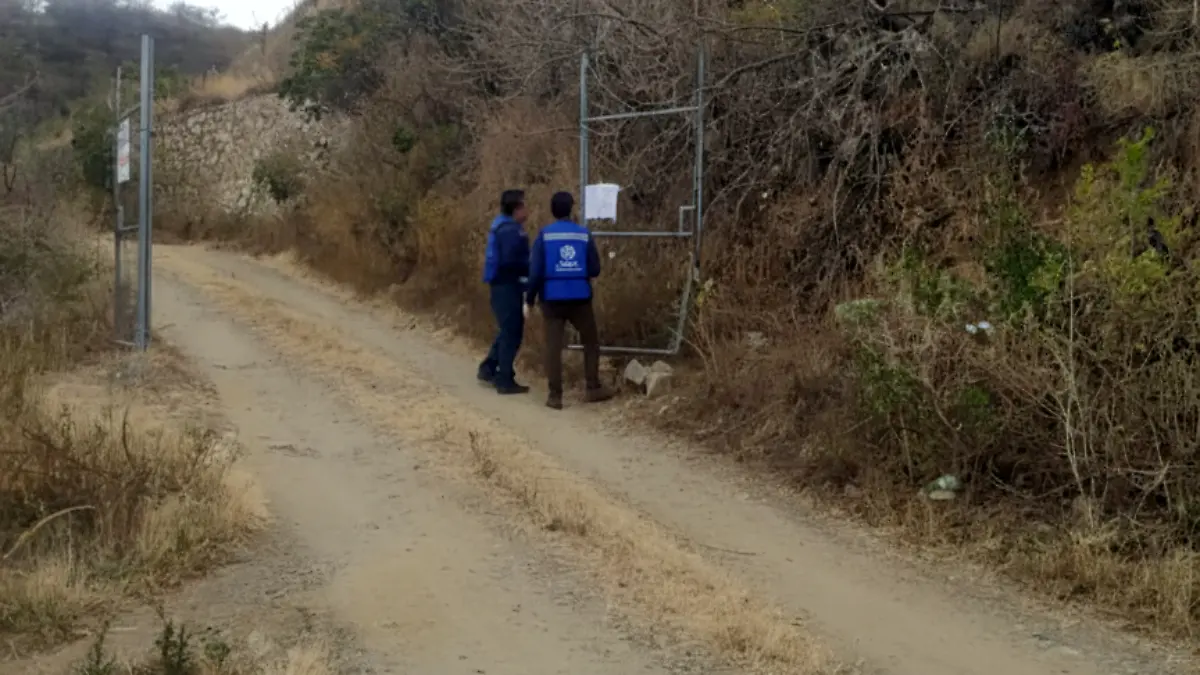 Gemini_Generated_Image_smuykismuykismuy