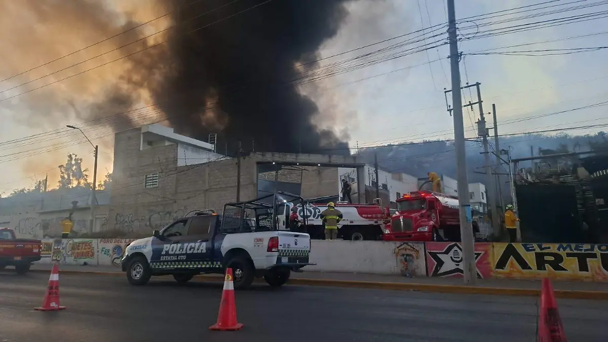 WhatsApp Image 2026-02-18 at 6.19.27 PM