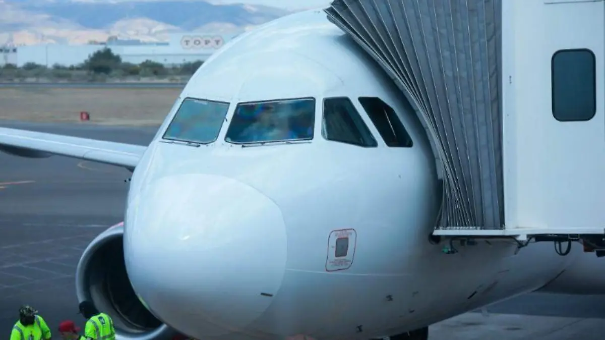 Captura de pantalla 2026-02-18 205302