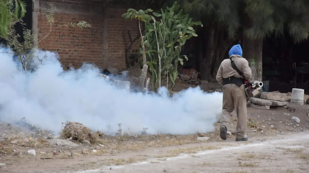 DENGUE (4)