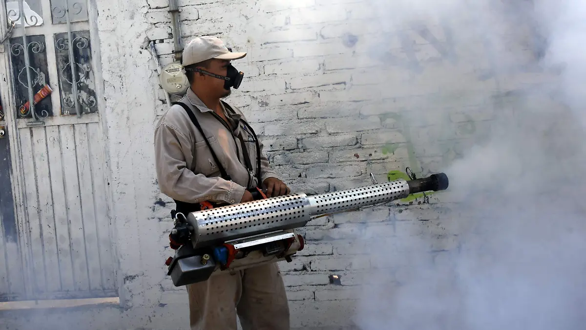 DENGUE - El Sol de Leon (2)