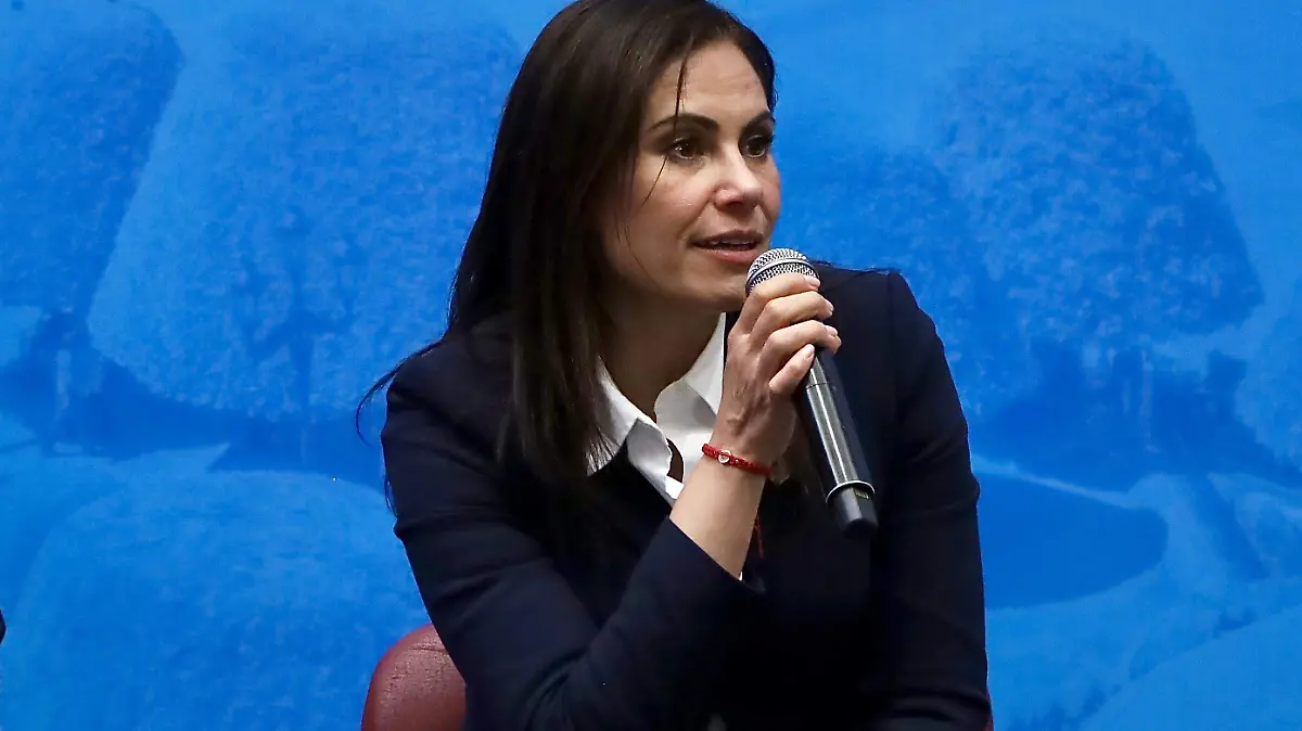 Alejandra Gutiérrez PAN - Francisco Meza (2)