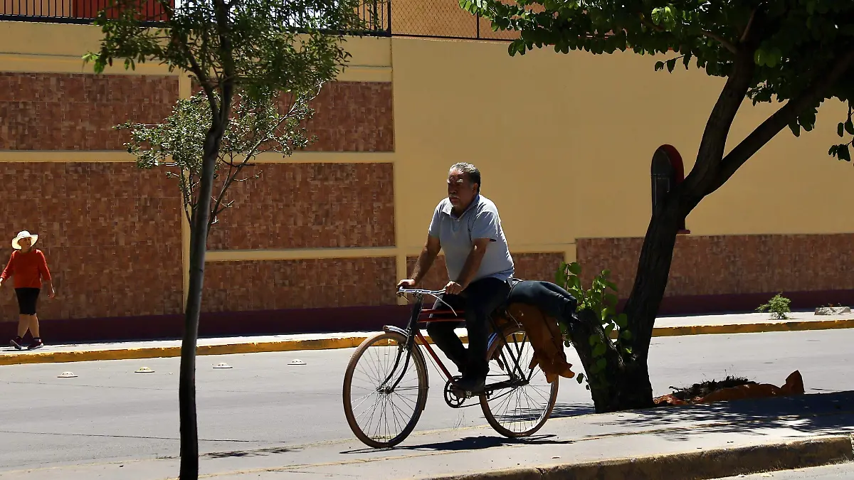 CICLOVIAS - Fco Meza - El Sol de Leon (1)