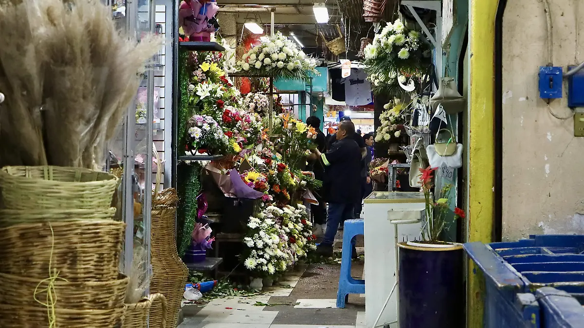Mercado Aldama - Francisco Meza (4)