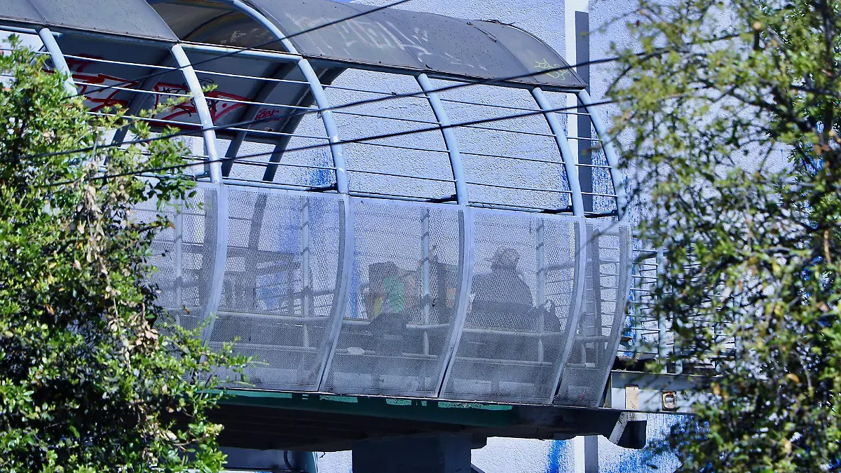El puente de López Mateos y Miguel Alemán es usado como vivienda improvisada