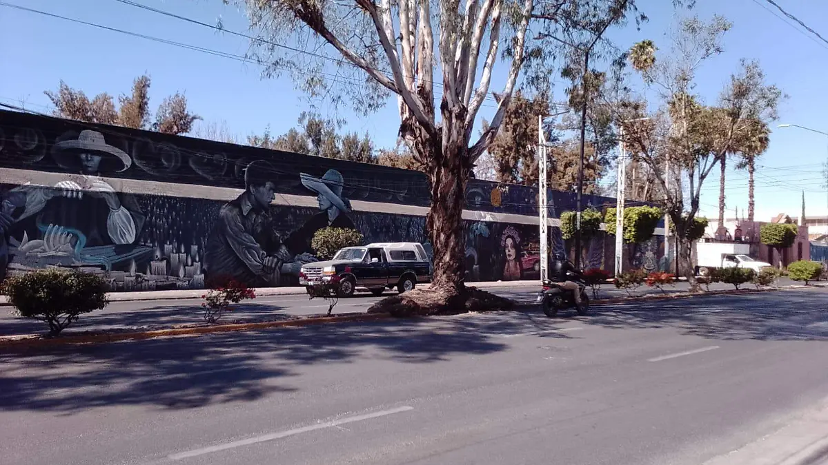 ROSARIO HORTA RAÍCES ARBOLES (10)