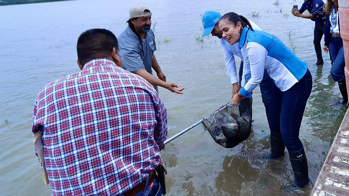 Semana Santa marcará primera cosecha de peces tras sequía en presa El Palote