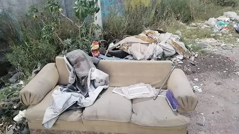 La avenida de Los Azafranes en León se ha convertido en un basurero clandestino