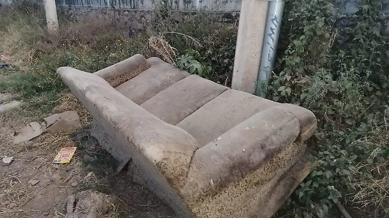 La avenida de Los Azafranes en León se ha convertido en un basurero clandestino