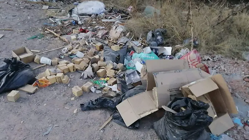 La avenida de Los Azafranes en León se ha convertido en un basurero clandestino