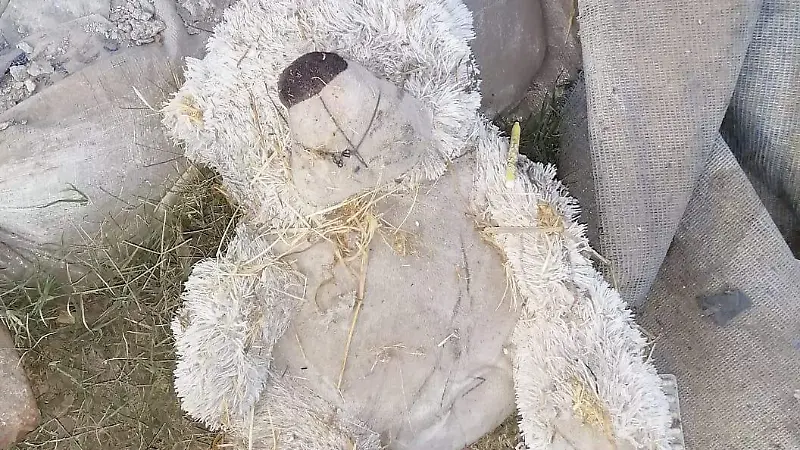 La avenida de Los Azafranes en León se ha convertido en un basurero clandestino