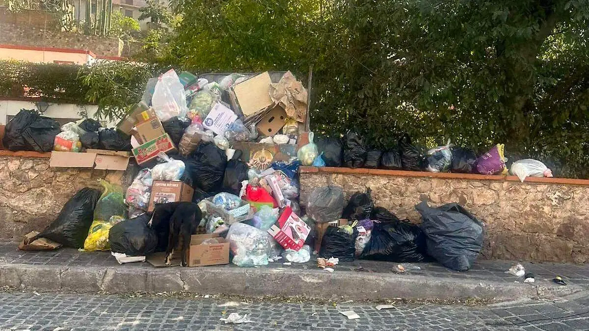 Basura3