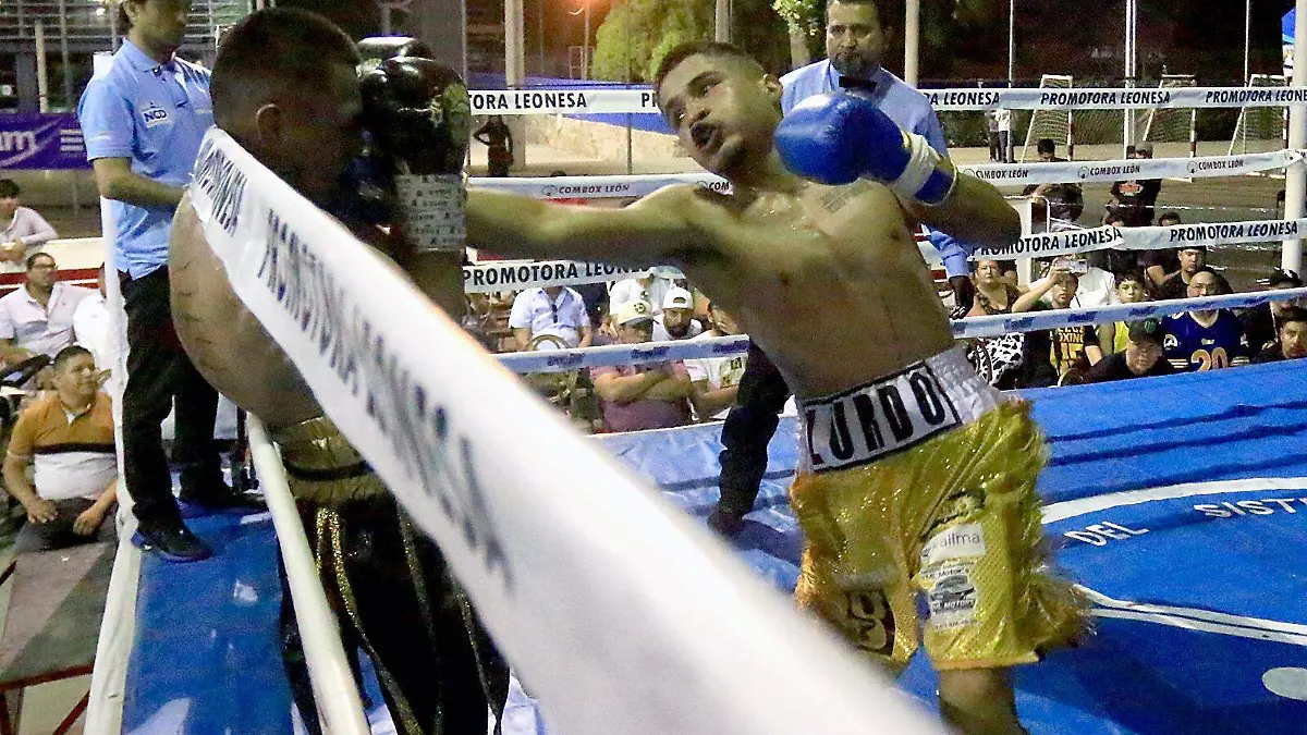 Cortesia Promotora Leonesa de Boxeo (3)