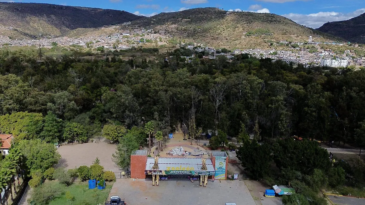 Zoológico - Francisco Meza (2)