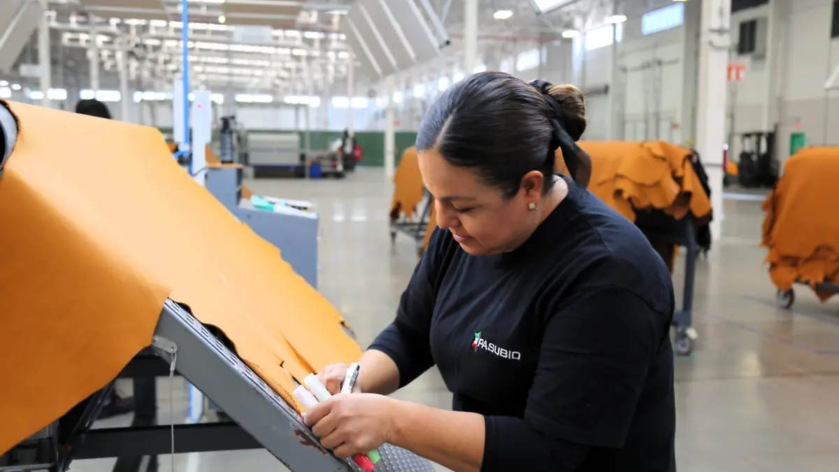 Las mujeres en la economía (2)