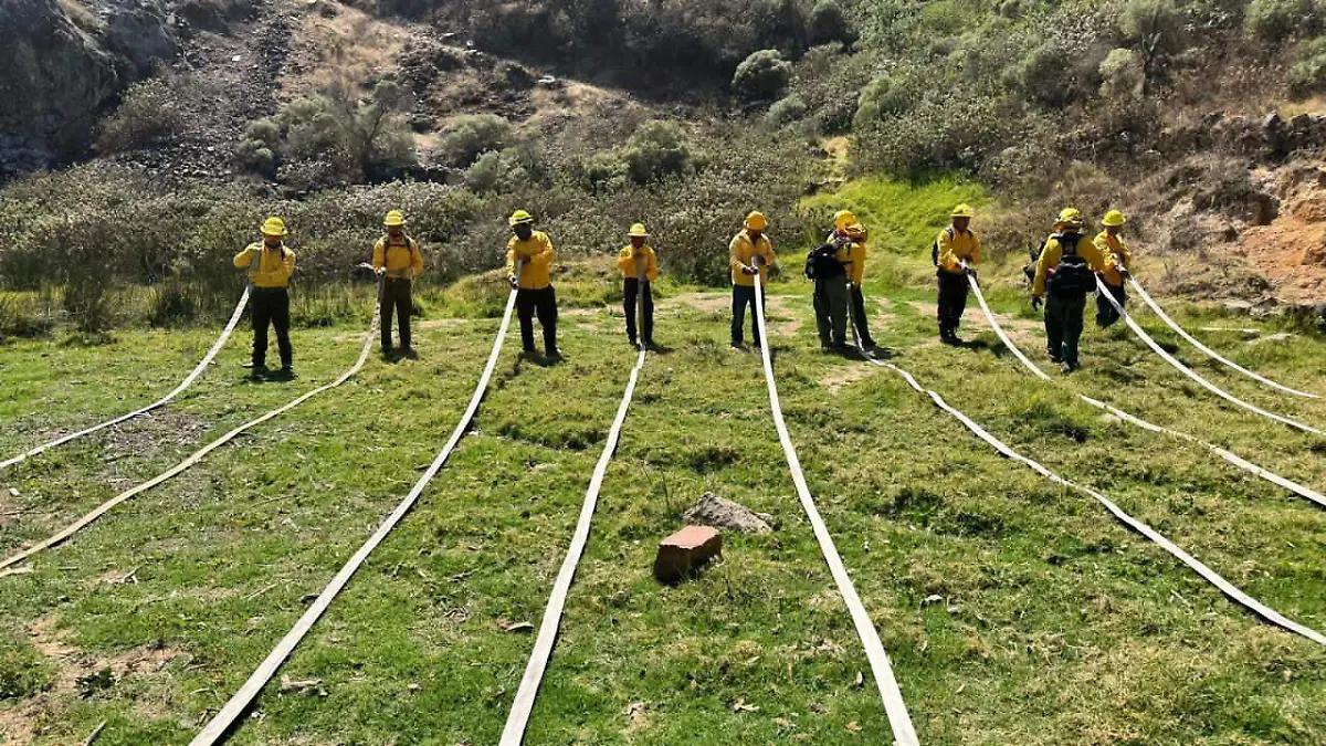 capacitaciones conafore2