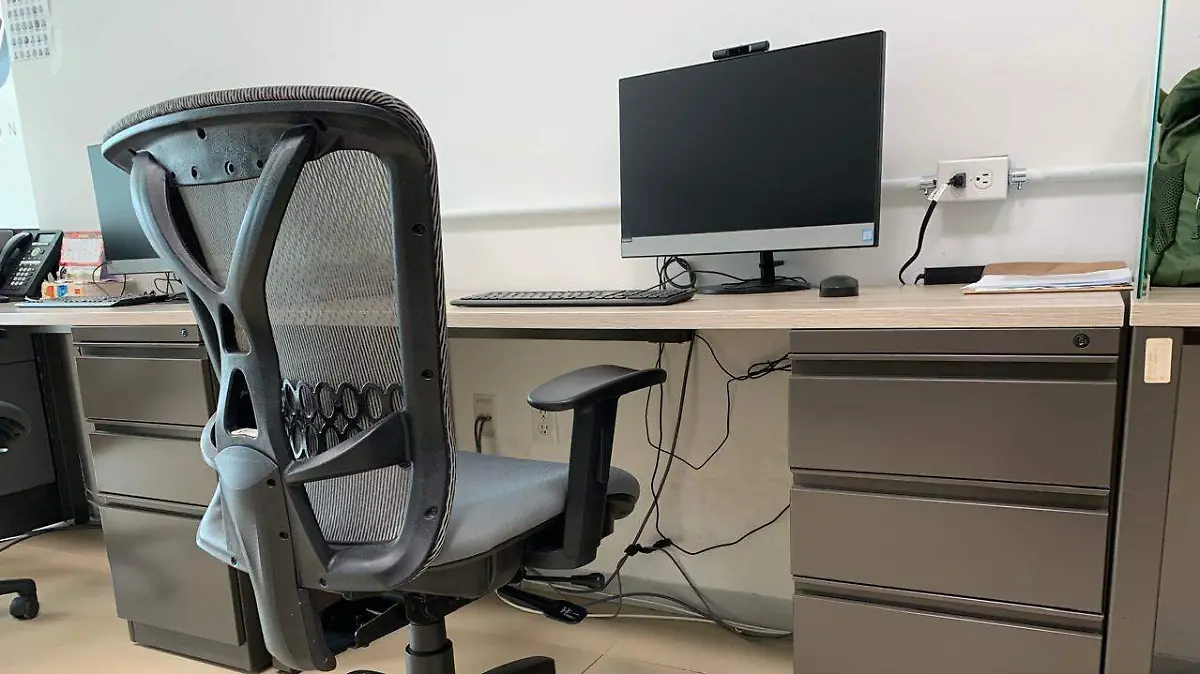 WhatsApp Image 2026-03-17 at 12.43.46 PM