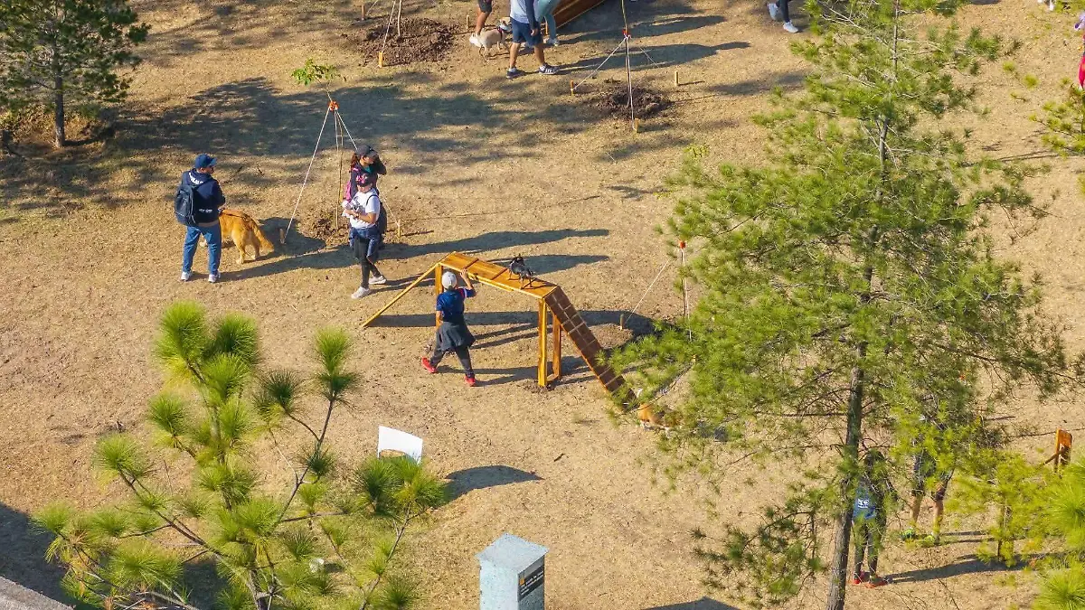 PET FRIENDLY CORTESIA METROPOLITANO 