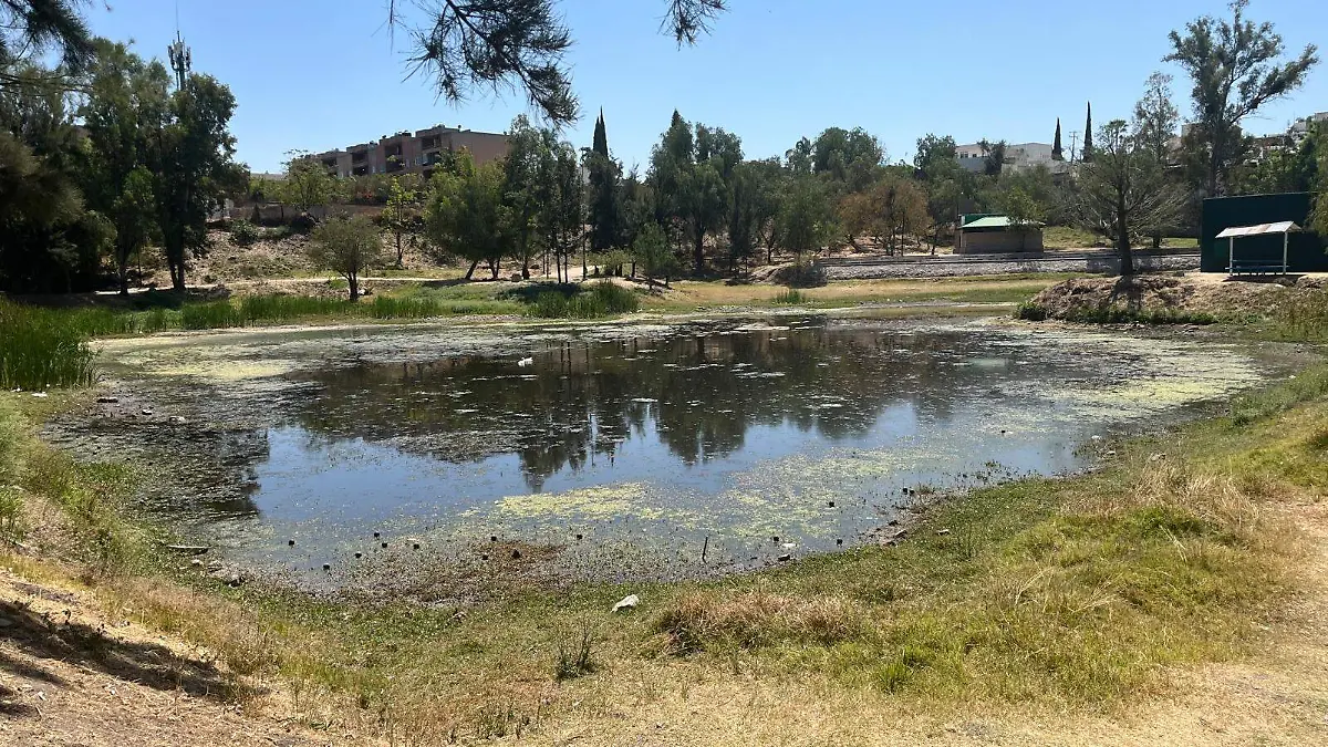 lago chapala- rosario horta-noticiasWhatsApp Image 2026-03-19 at 2.34.54 PM-3