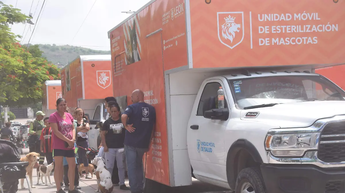 f carmona esterilizaciones (4) (1)