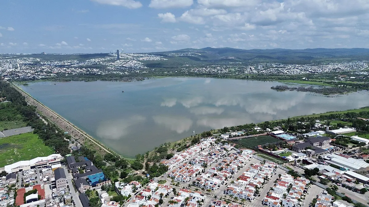 Presa - Fco Meza (8).jpeg