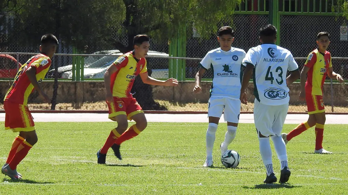 CACHORROS DE LEON (2)