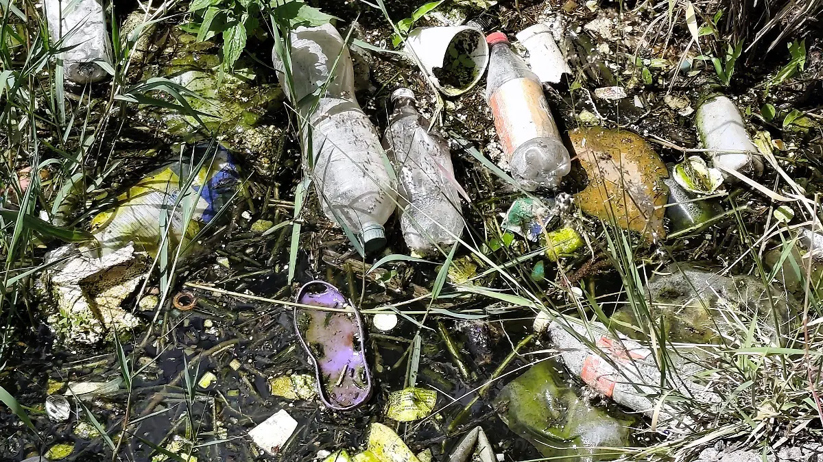 Joaquín Mayorga Montes, aguas negras2