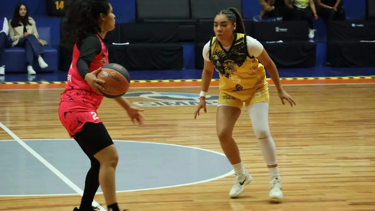 WhatsApp Image 2026-03-23 at 7.19.54 PM