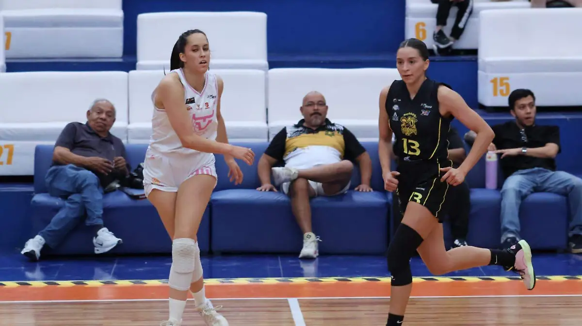 WhatsApp Image 2026-03-24 at 6.55.15 PM