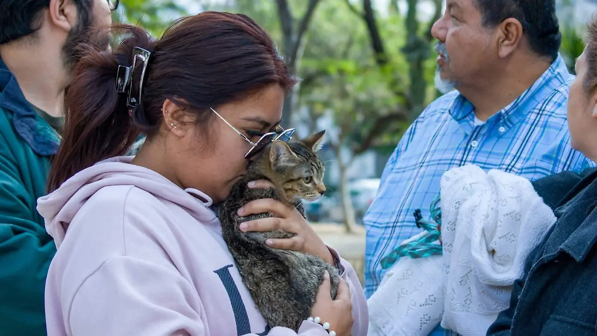 ESTERILIZACIONES -CORTESIA HOSPITAL DE MASCOTAS 