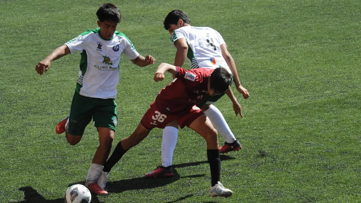 CACHORROS (1) (1) (1) (1) (1) (1) (1)