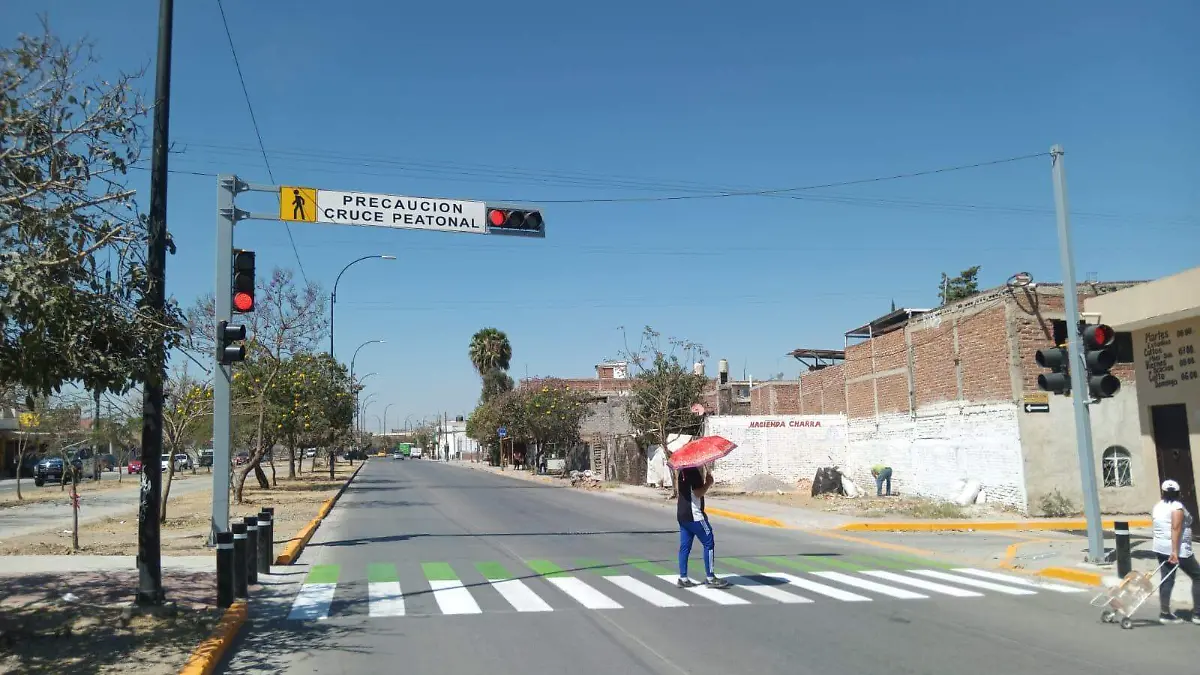 CAMINOS SEGUROS_ Rocío Godínez 