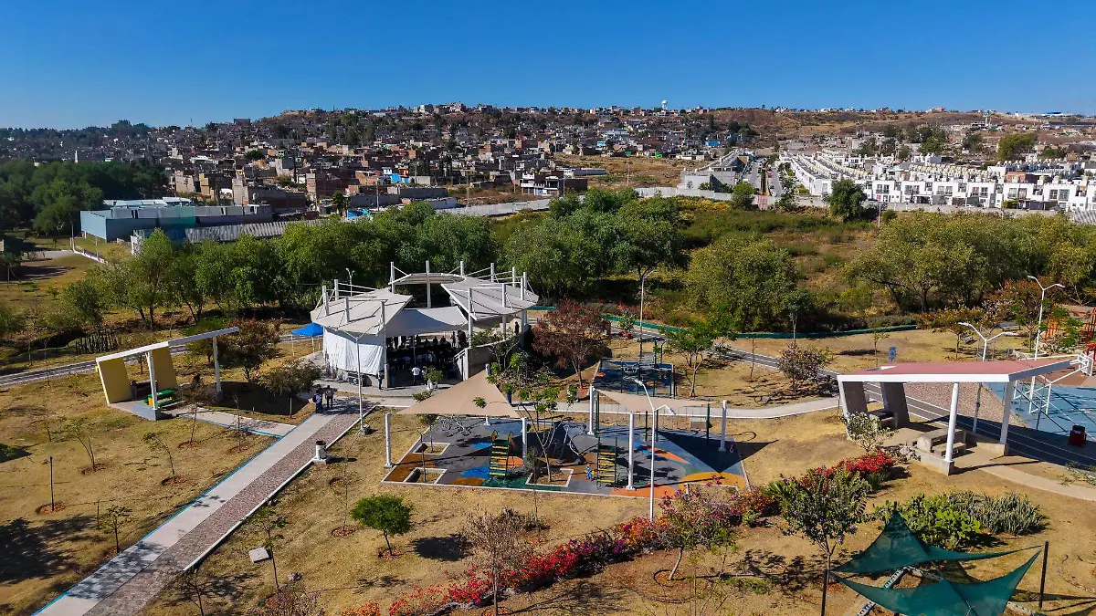 BOSQUE DE LA OLLA-ROCÍO GODÍNEZ.jpg