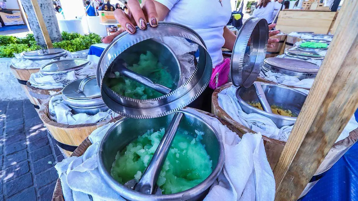 WhatsApp Image 2026-03-27 at 2.05.08 PM