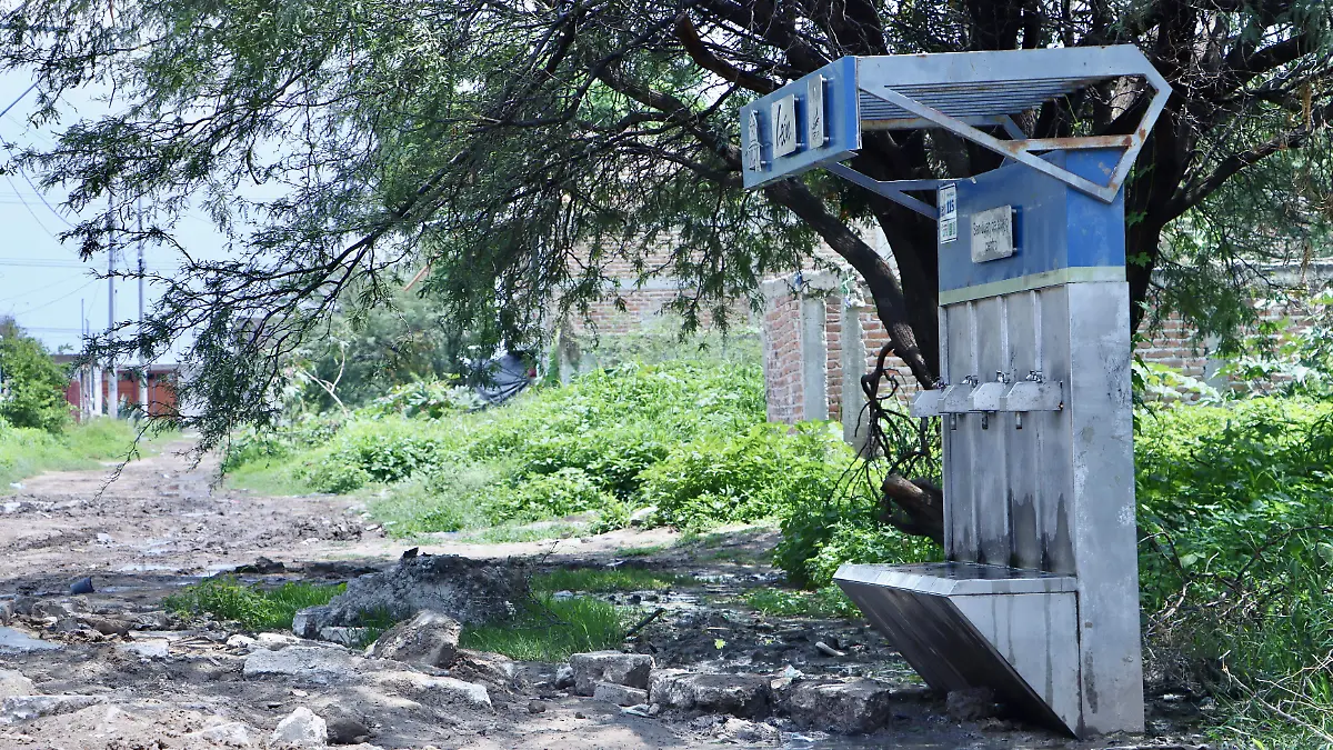 San Juan de Abajo - Fco Meza (11)