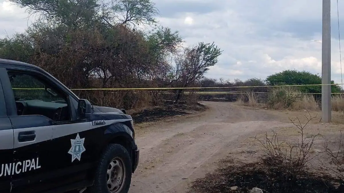 ENCOBIJADO PURÍSIMA (1)