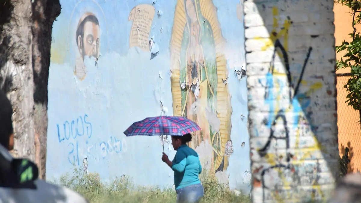 f carmona zonas prioritarias violencia mujeres (8)