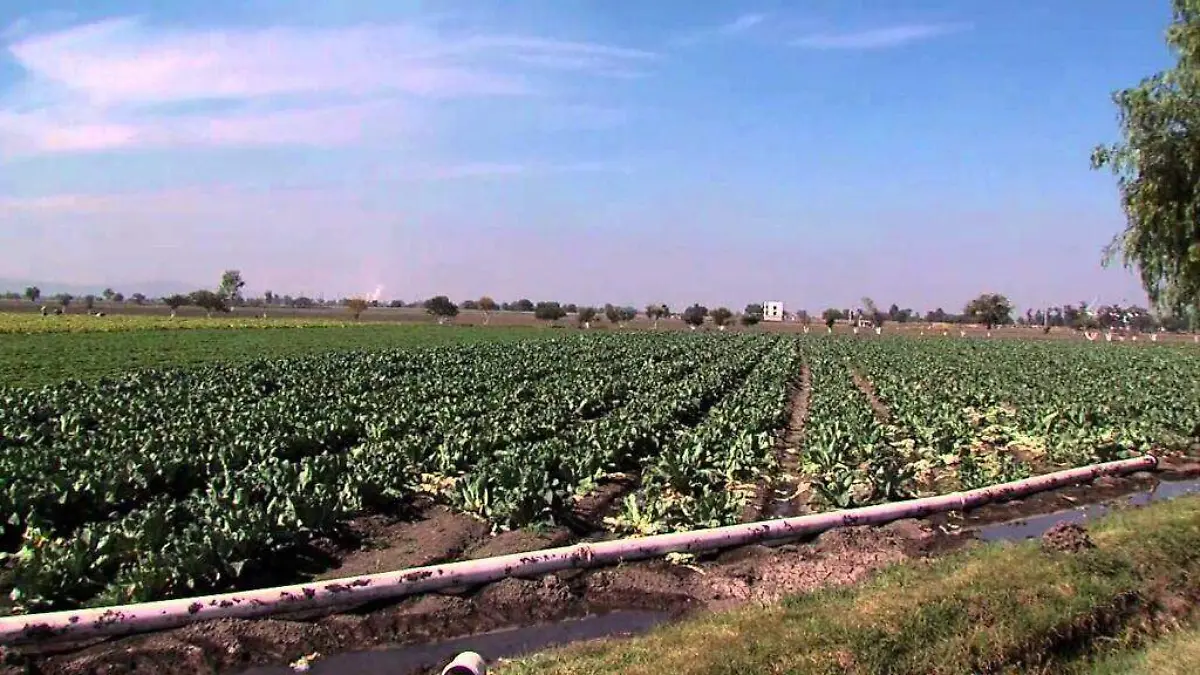 Guanajuato – Van 31 millones de pesos para el campo guanajuatense y su tecnificación